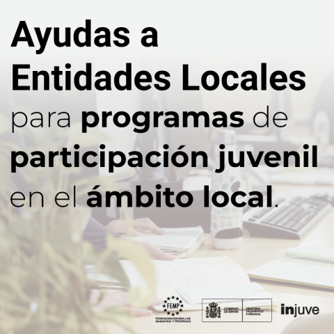 ayudaentidadeslocales